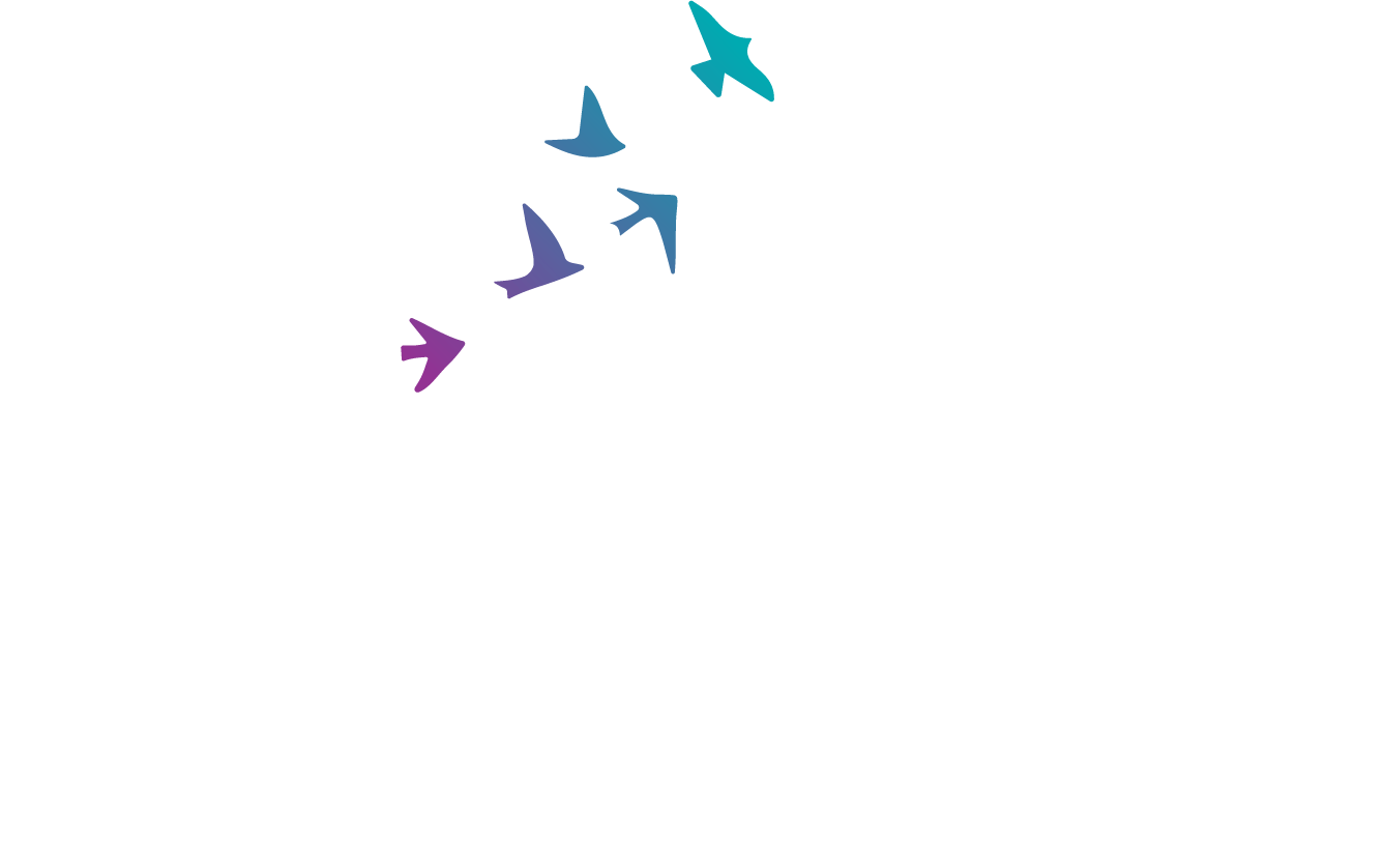 Bay State Rentals